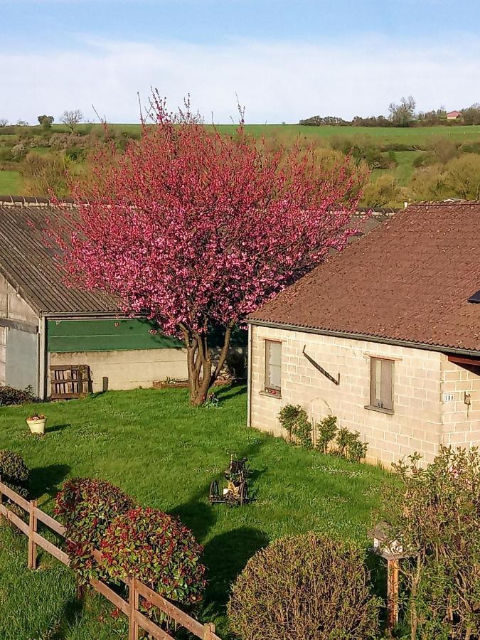 Willa Gite A La Ferme Rouvroy Zewnętrze zdjęcie